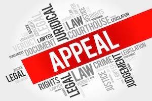 Appellate Litigation